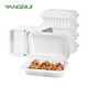disposable bento box wholesale